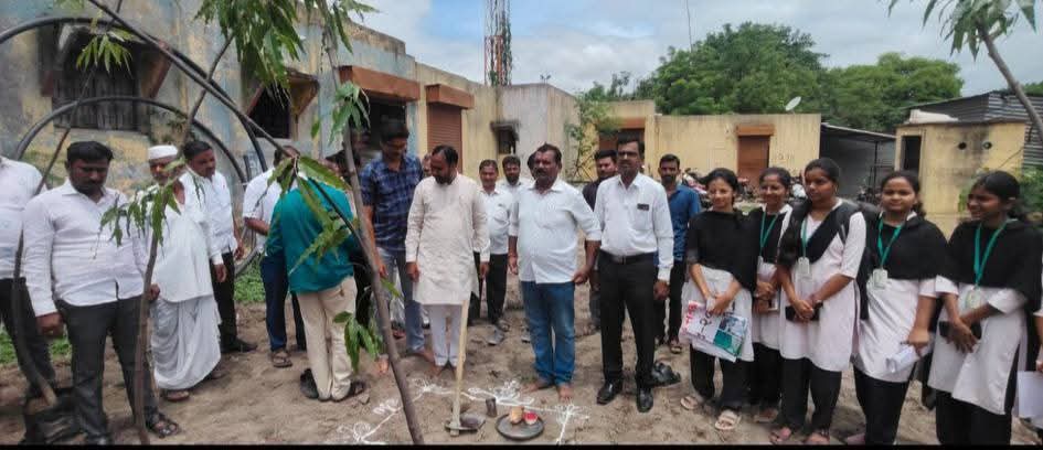 Tree plantation